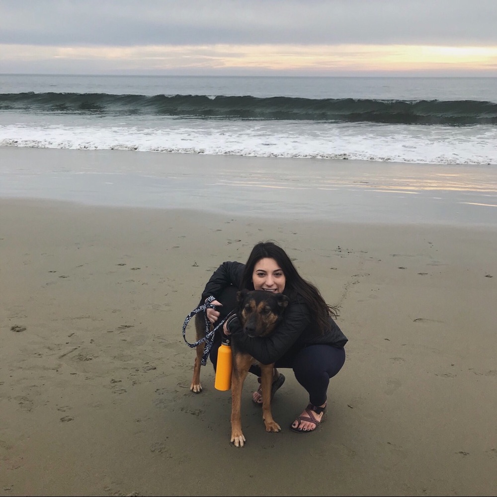 Meet your Posher, Lily